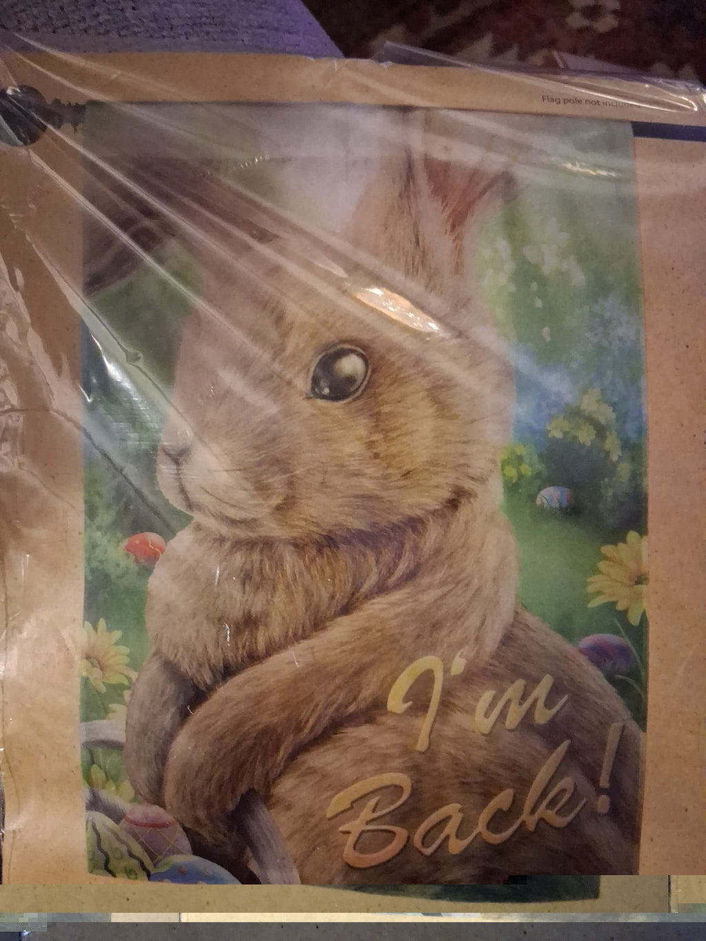 Bunny F lag