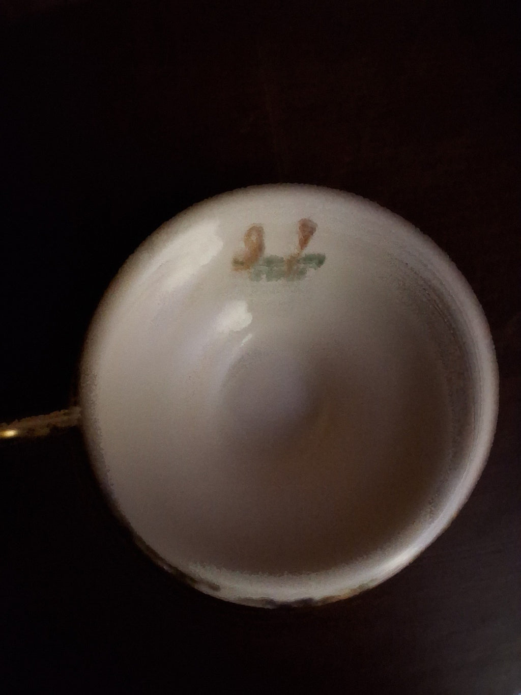 1930's Bohemia Royal Ivory 8pc Porcelain Tea Cup & Saucer Set Floral Gold Trim