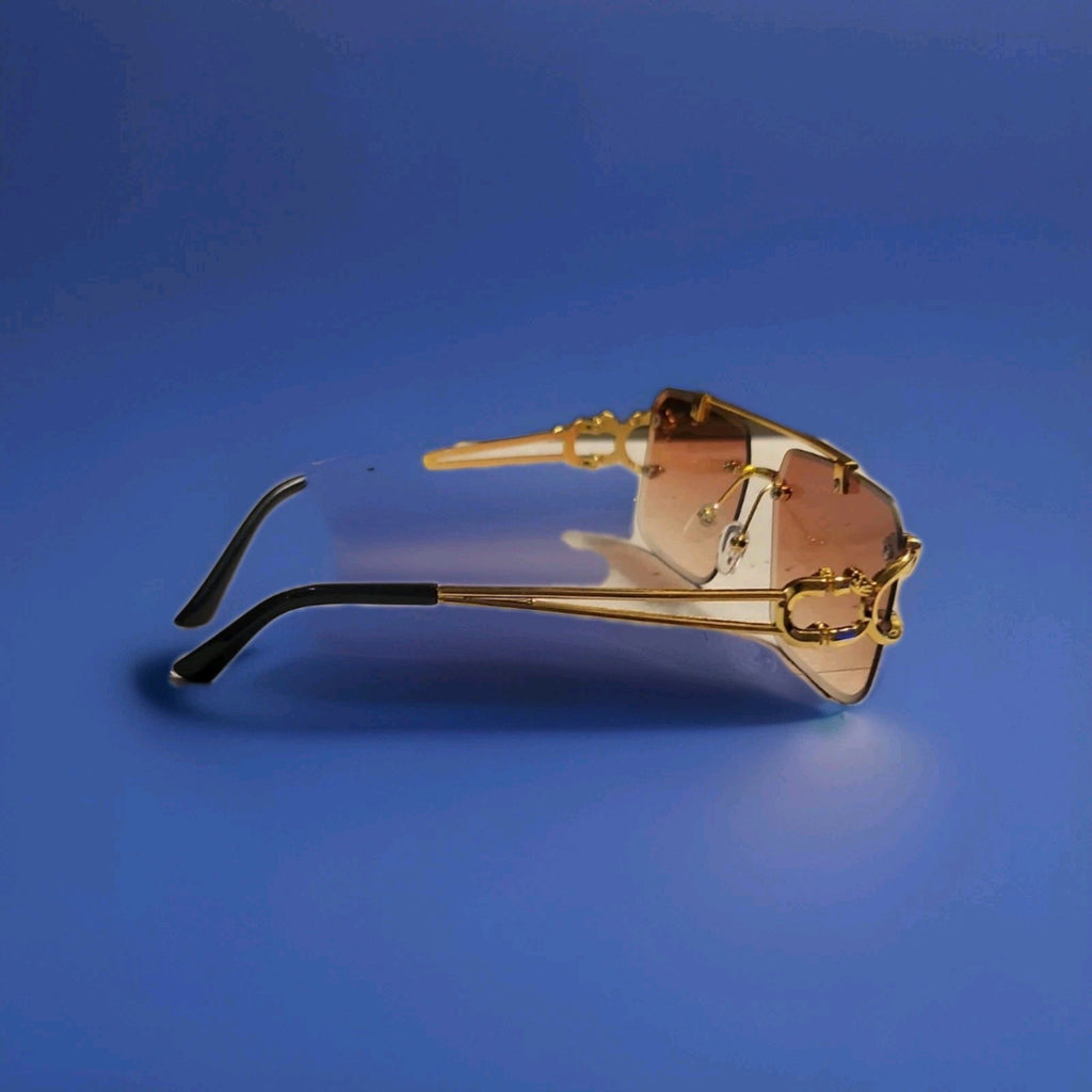  Sunglasses with Cougars 