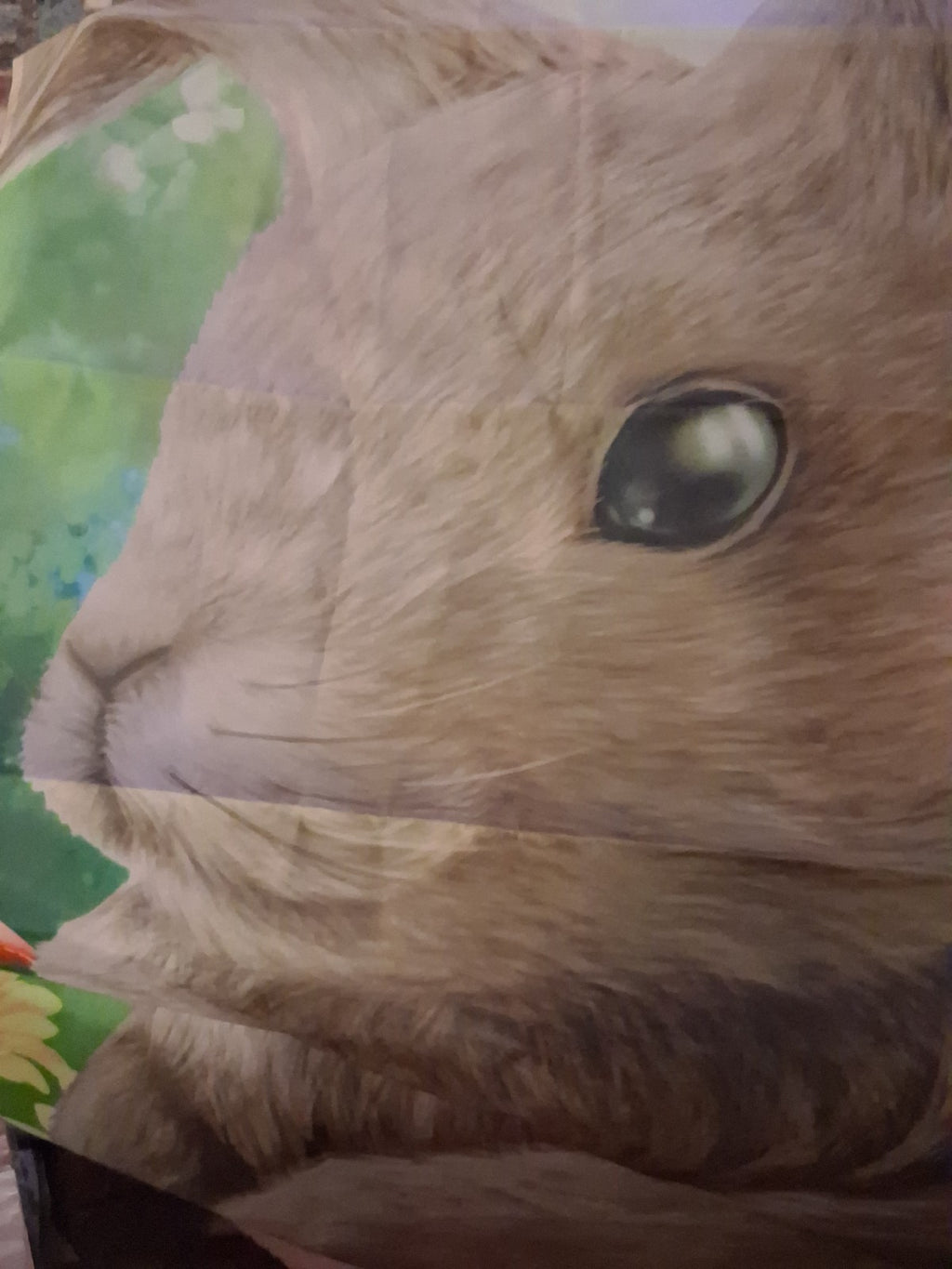 Bunny F lag