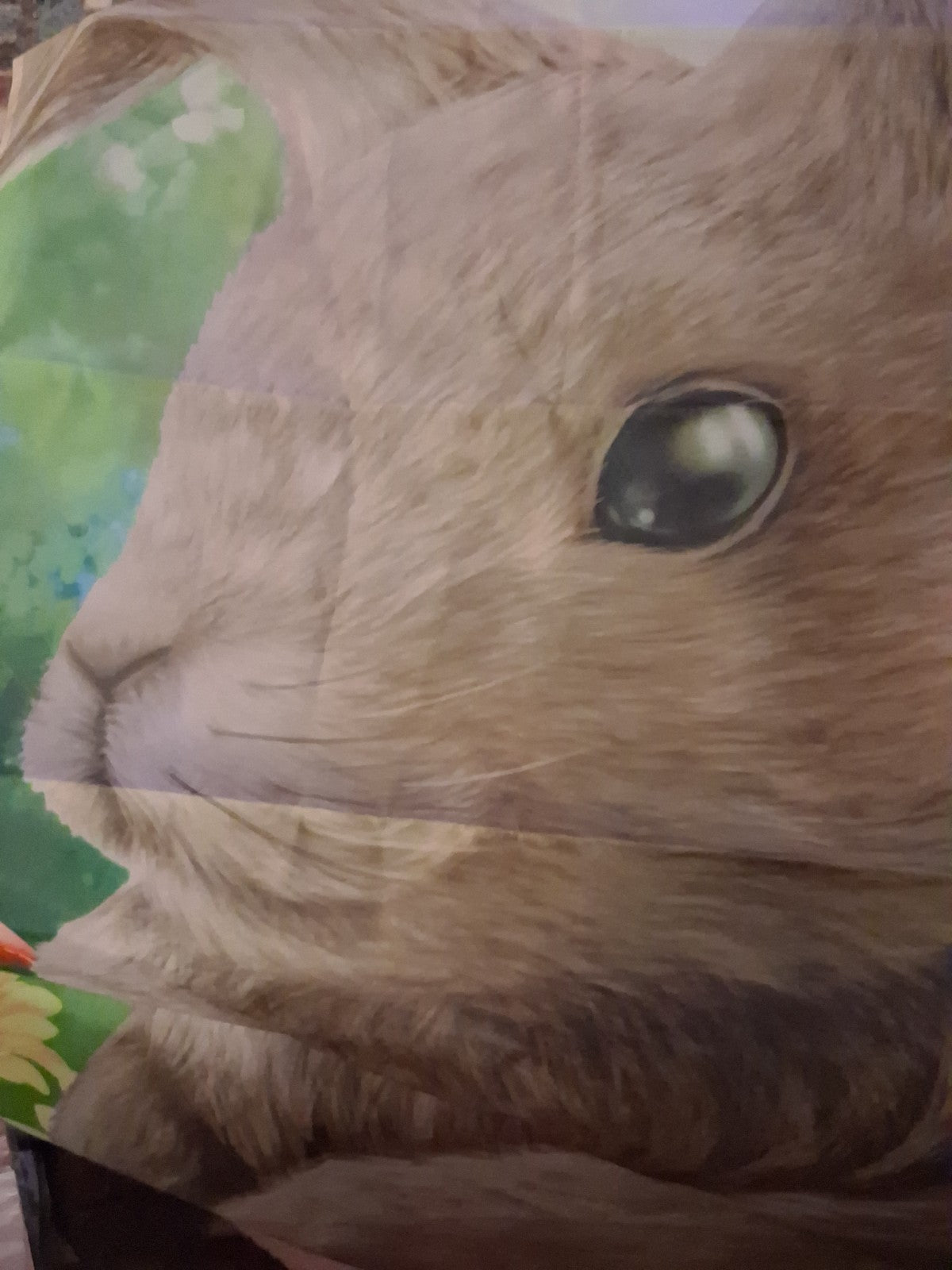 Bunny F lag