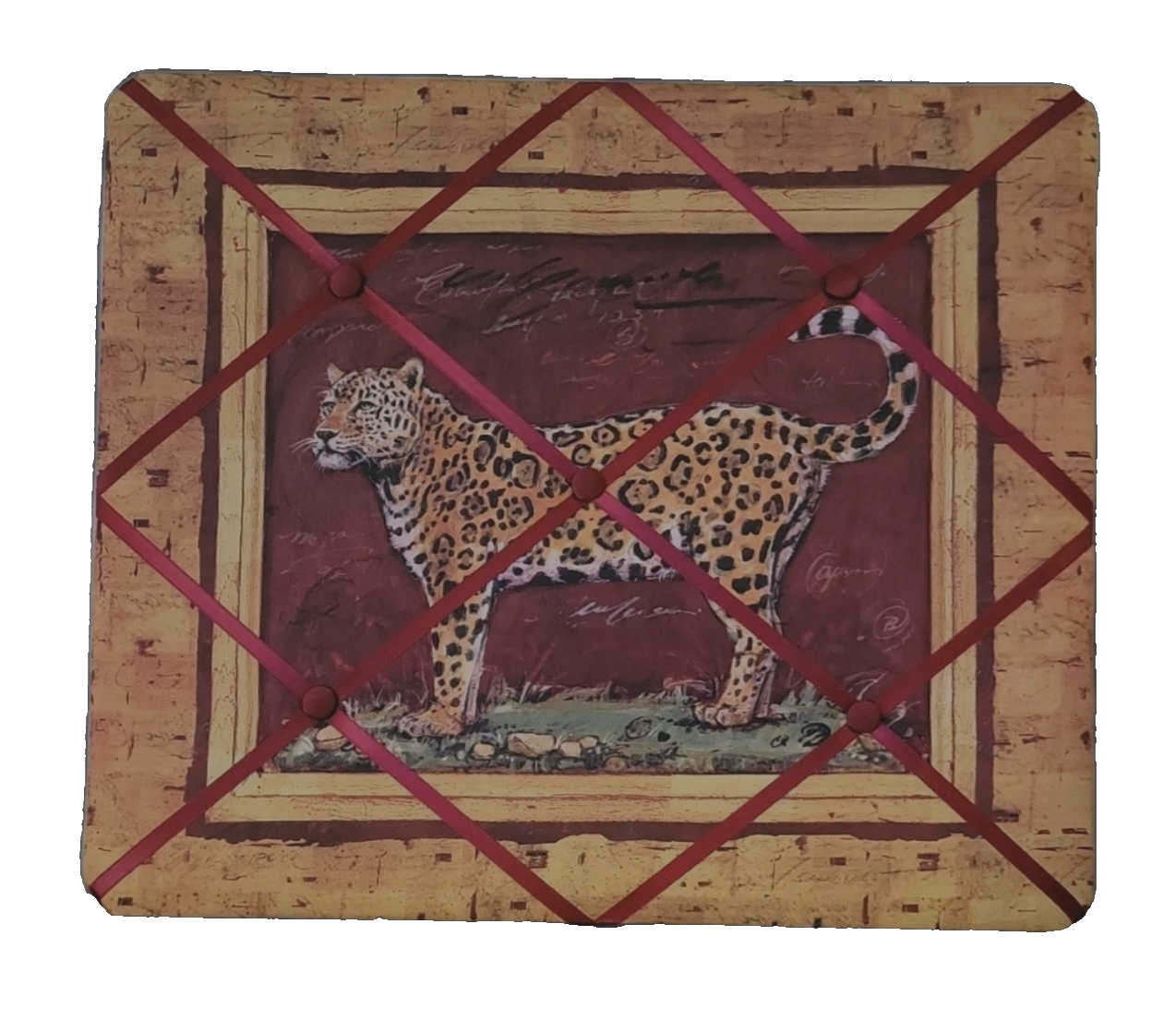 Cheetah -Hunting Leopard
