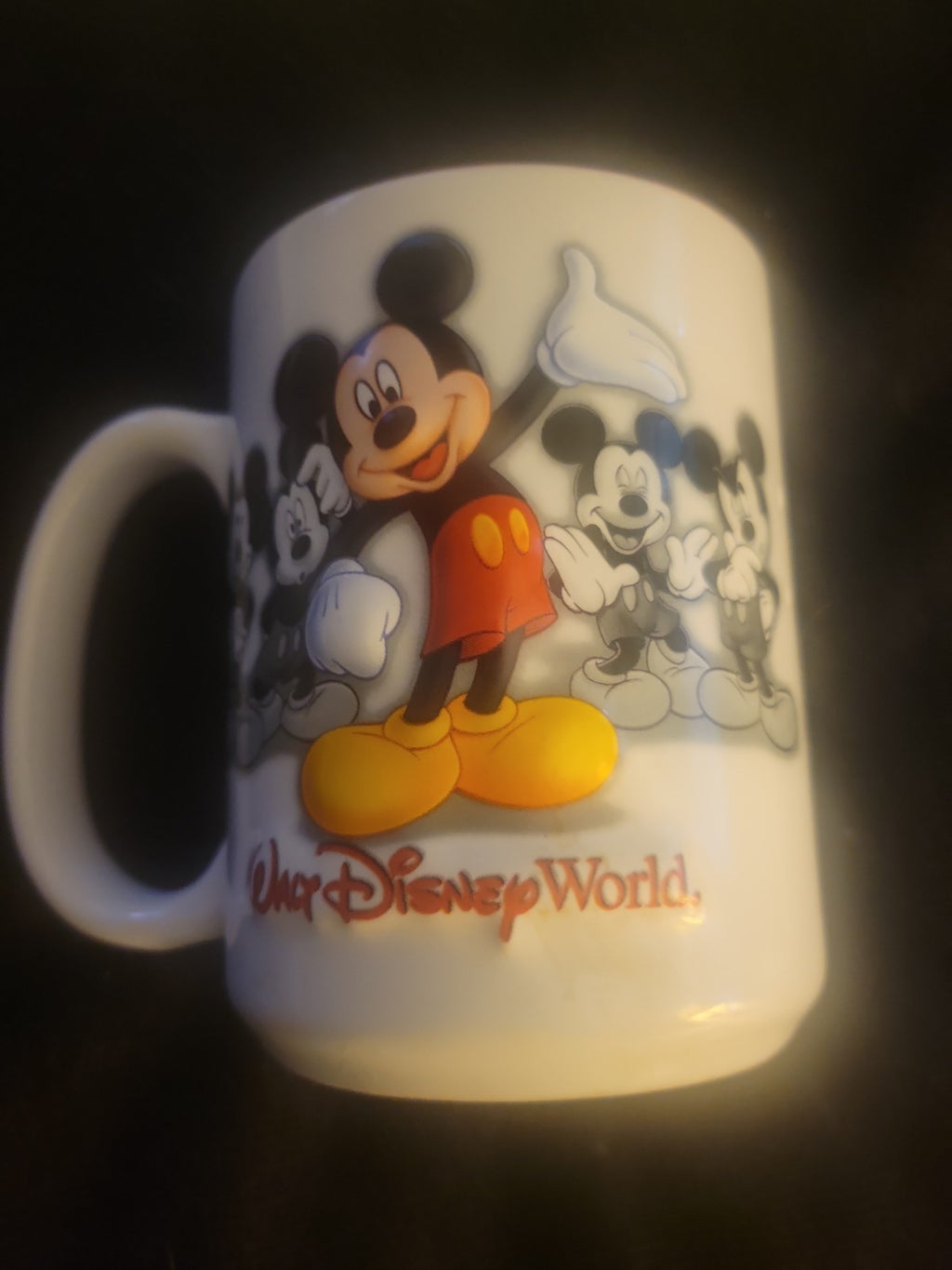 Mickey Mouse Walt Disney World 3D
