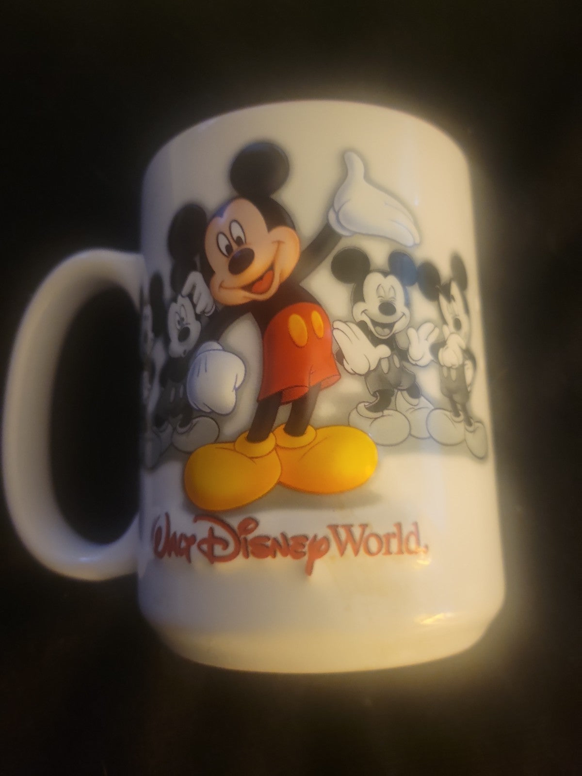 Mickey Mouse Walt Disney World 3D