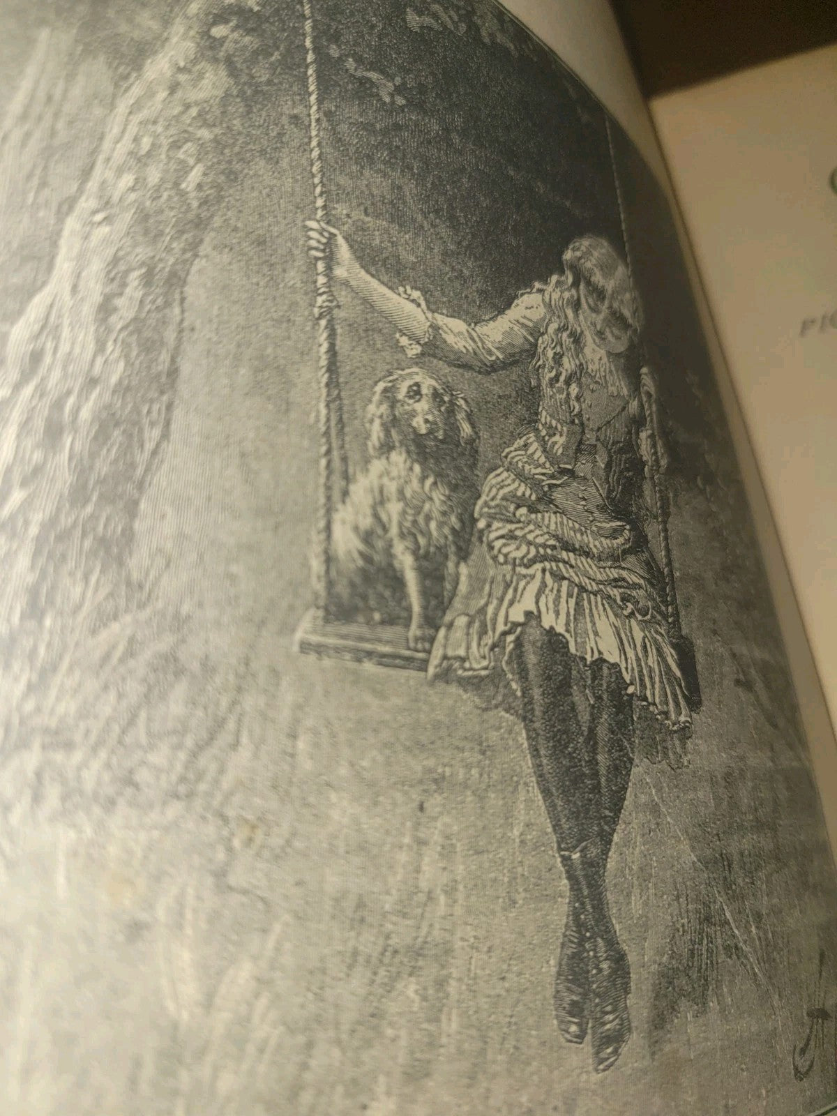 130 year old 1896 Hardcover Illustrated, 