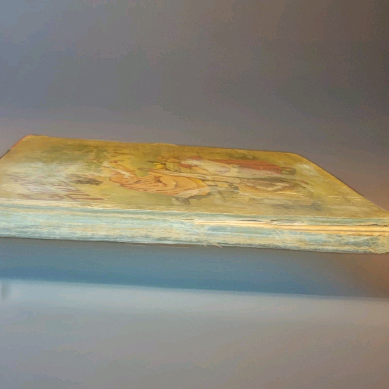 130 year old 1896 Hardcover Illustrated, 