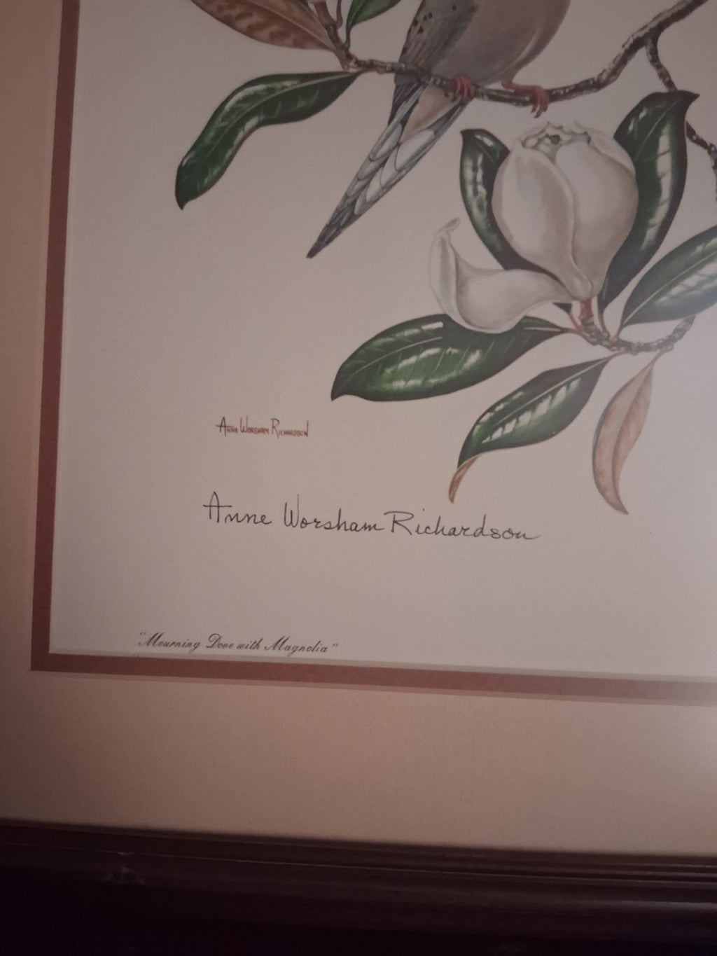 Anne Worsham Richardson Mourning Dove Magnolia Signed Art Print