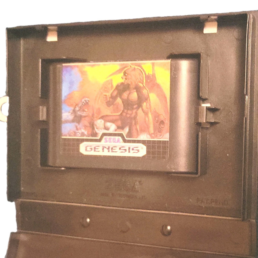 Sega Genesis Game