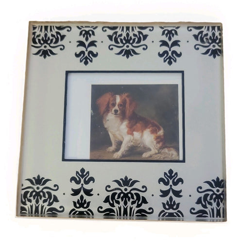 10 Photo Coasters-Glass