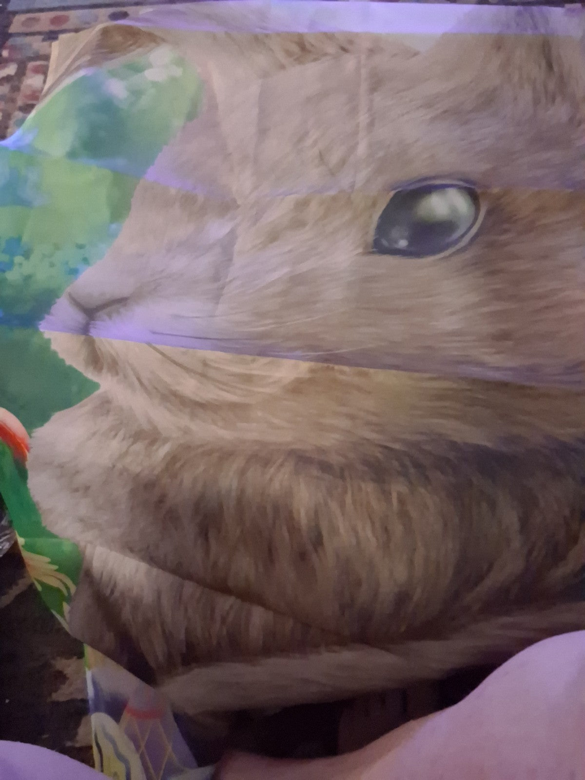 Bunny F lag
