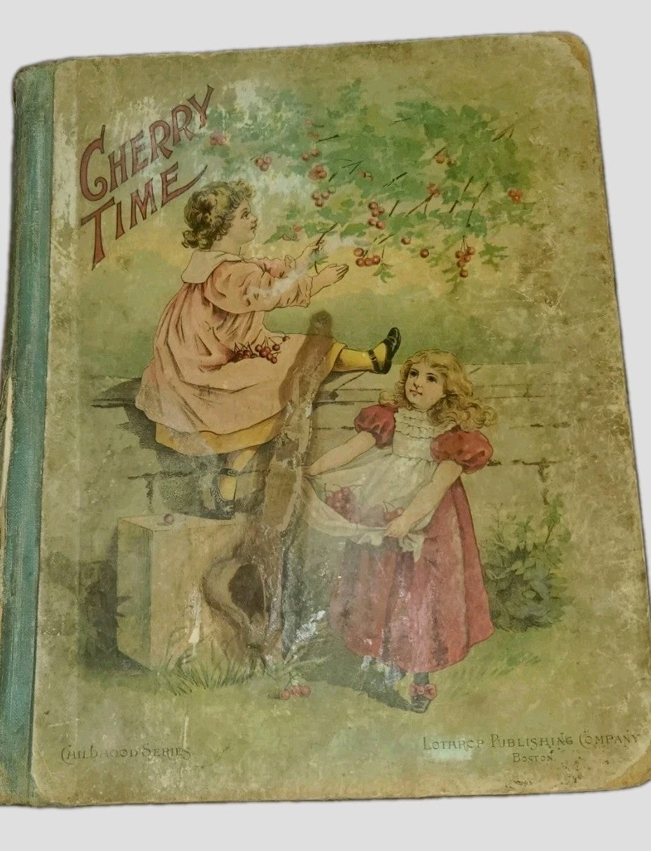 1896 Childrens Hardcover 