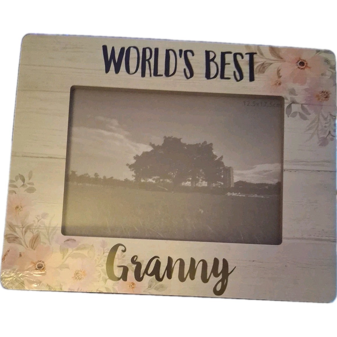 Worlds Best Granny Frame