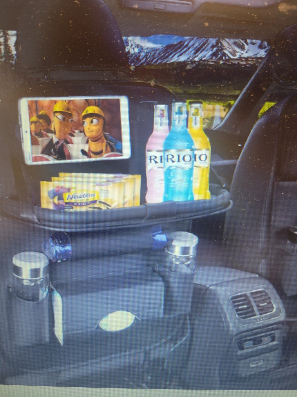 Backseat Car Organizer 