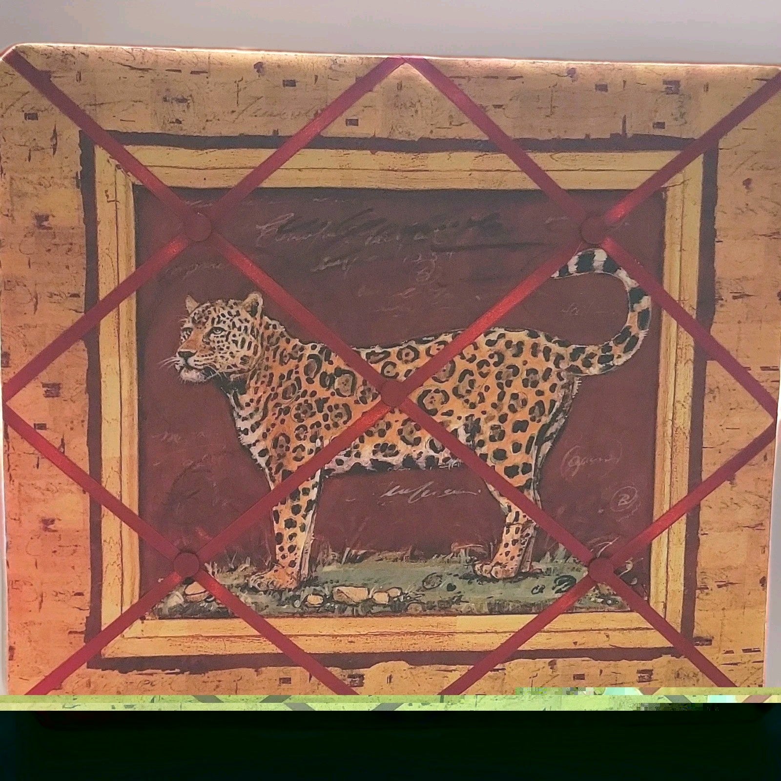 Cheetah -Hunting Leopard