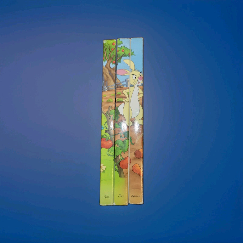 Disney Winnie the Pooh 