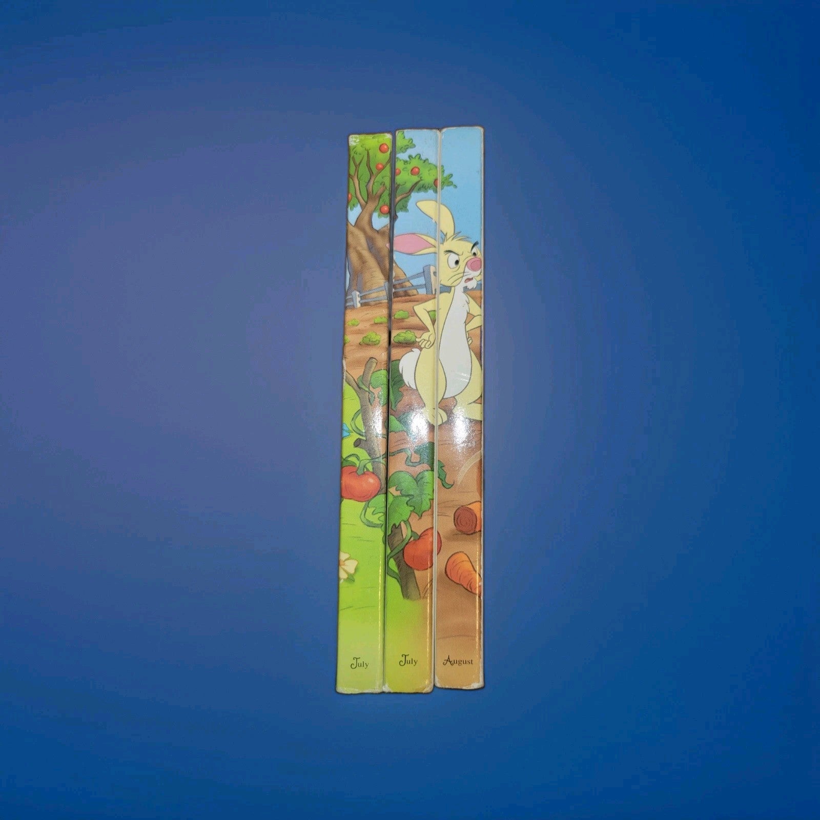 Disney Winnie the Pooh 