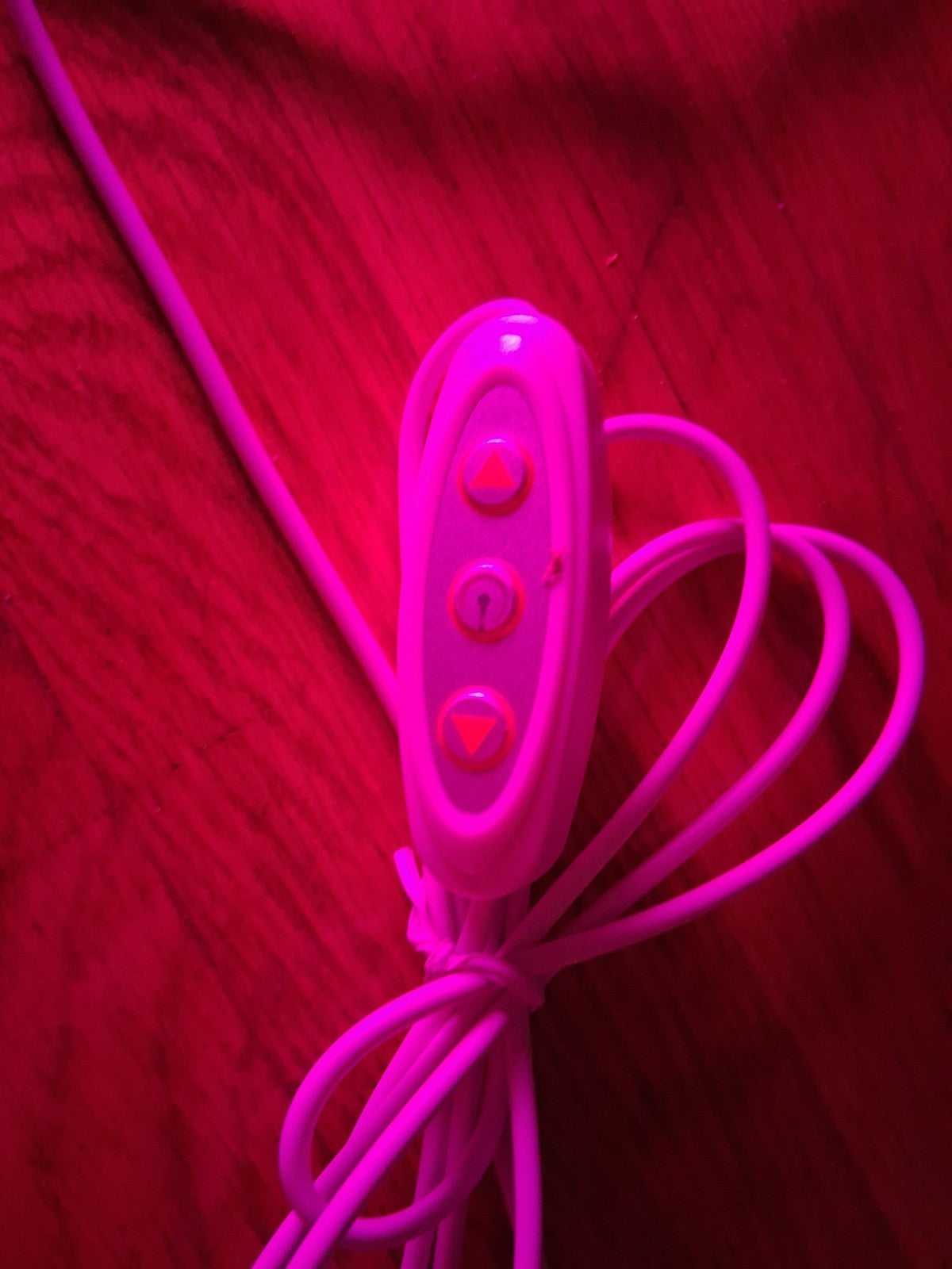 Slay Neon Sign For Wall Decor Led Neon Light Sign For Girls Room Bedroom Wedding