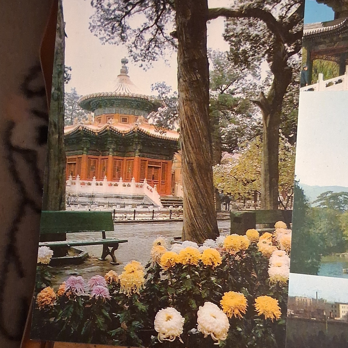 17- Vintage  postcards Beijing landmarks ,  the Summer Palace and Forbidden City