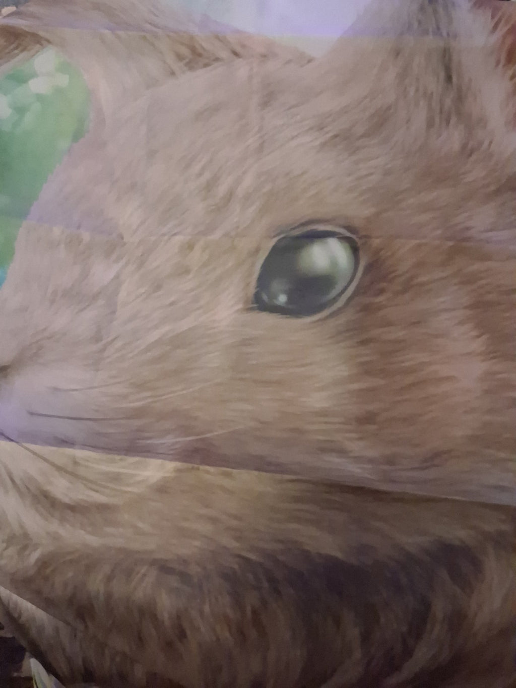 Bunny F lag