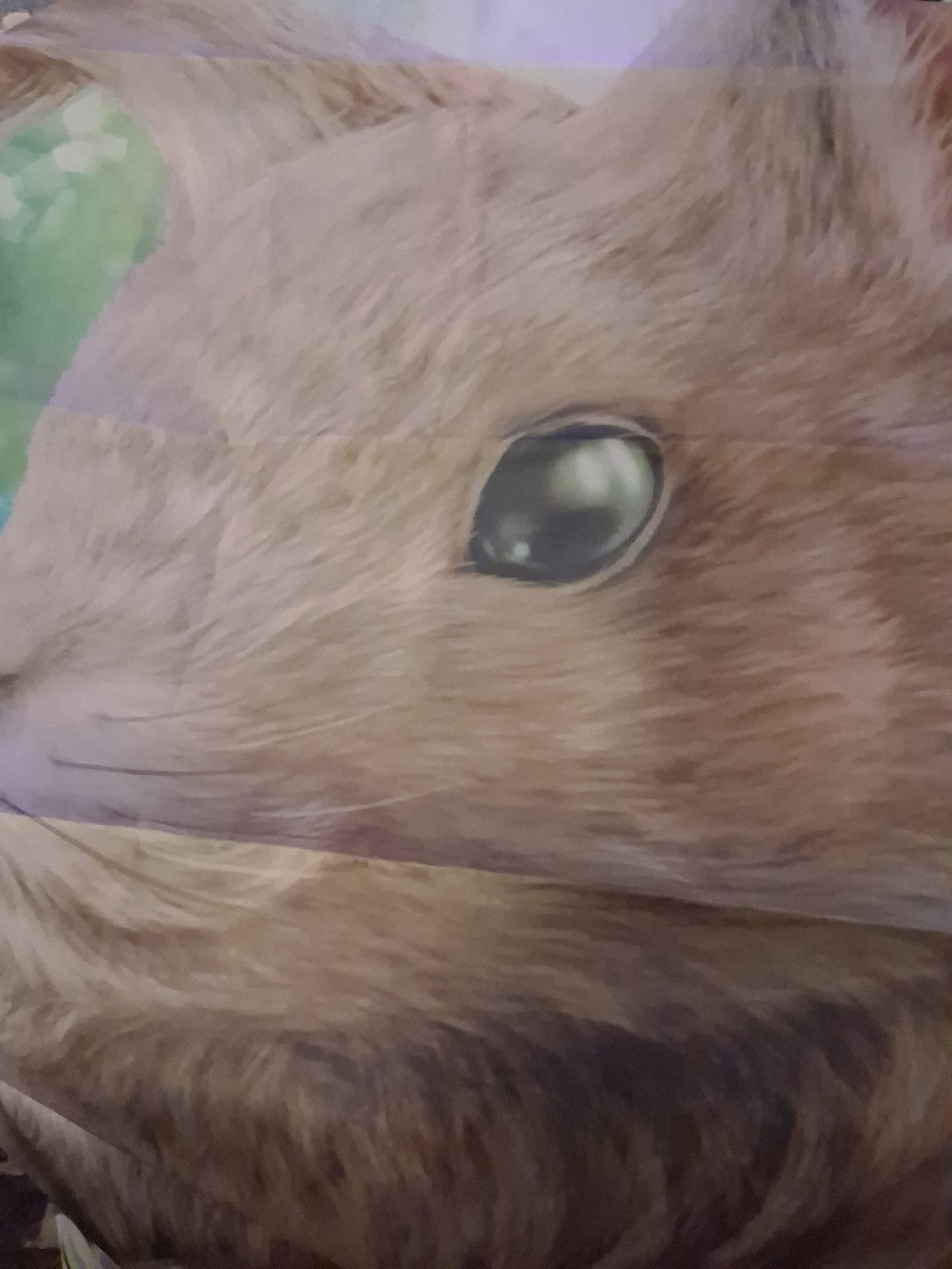 Bunny F lag
