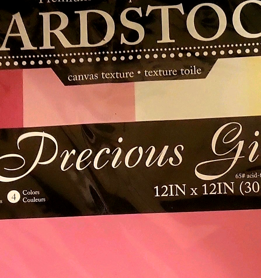 Precious Girl Canvas Cardstock  20 Sheets