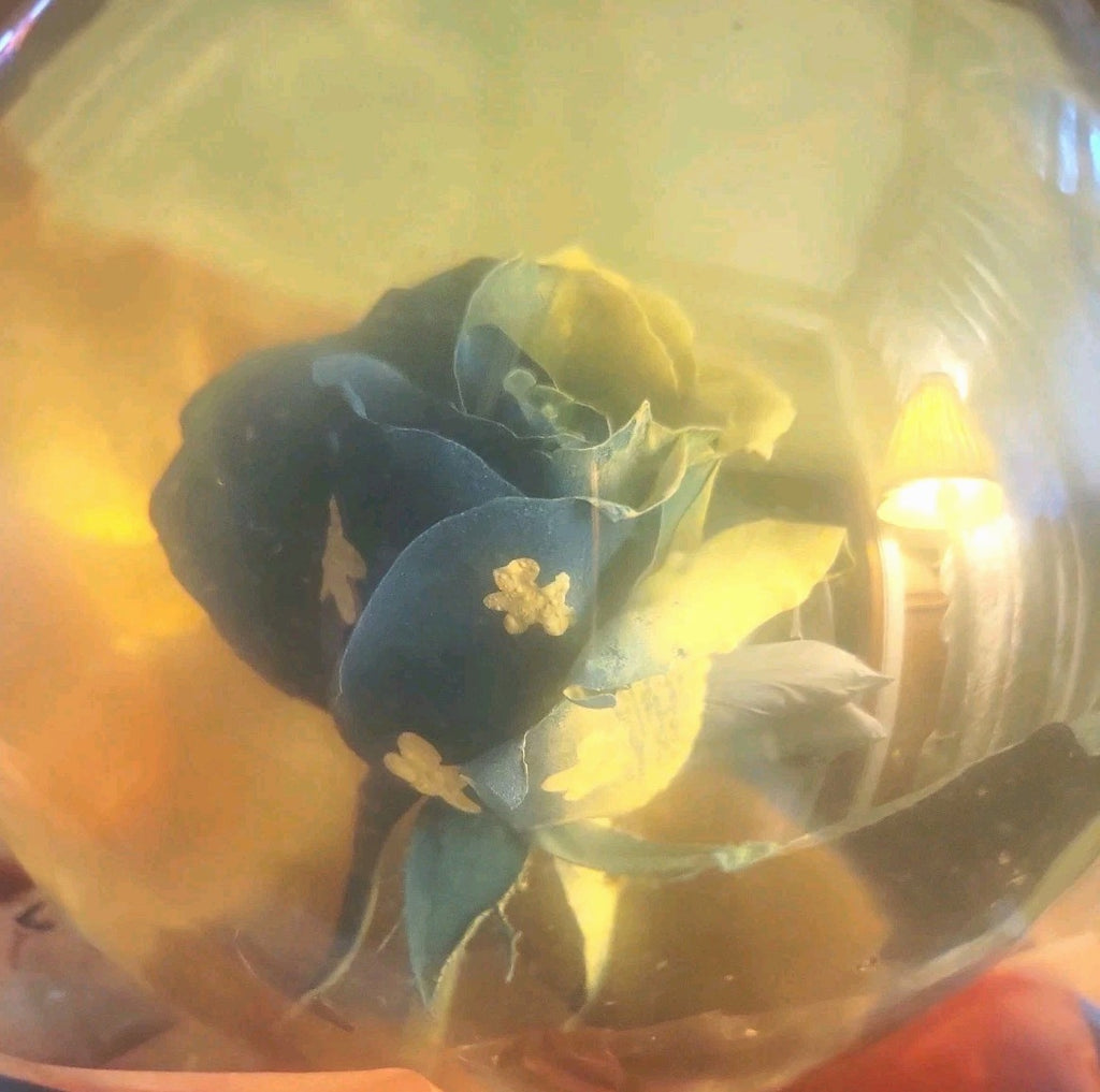Rose July 4th Water Globe