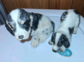 2 Vintage English Springer Spaniel Dog Statue