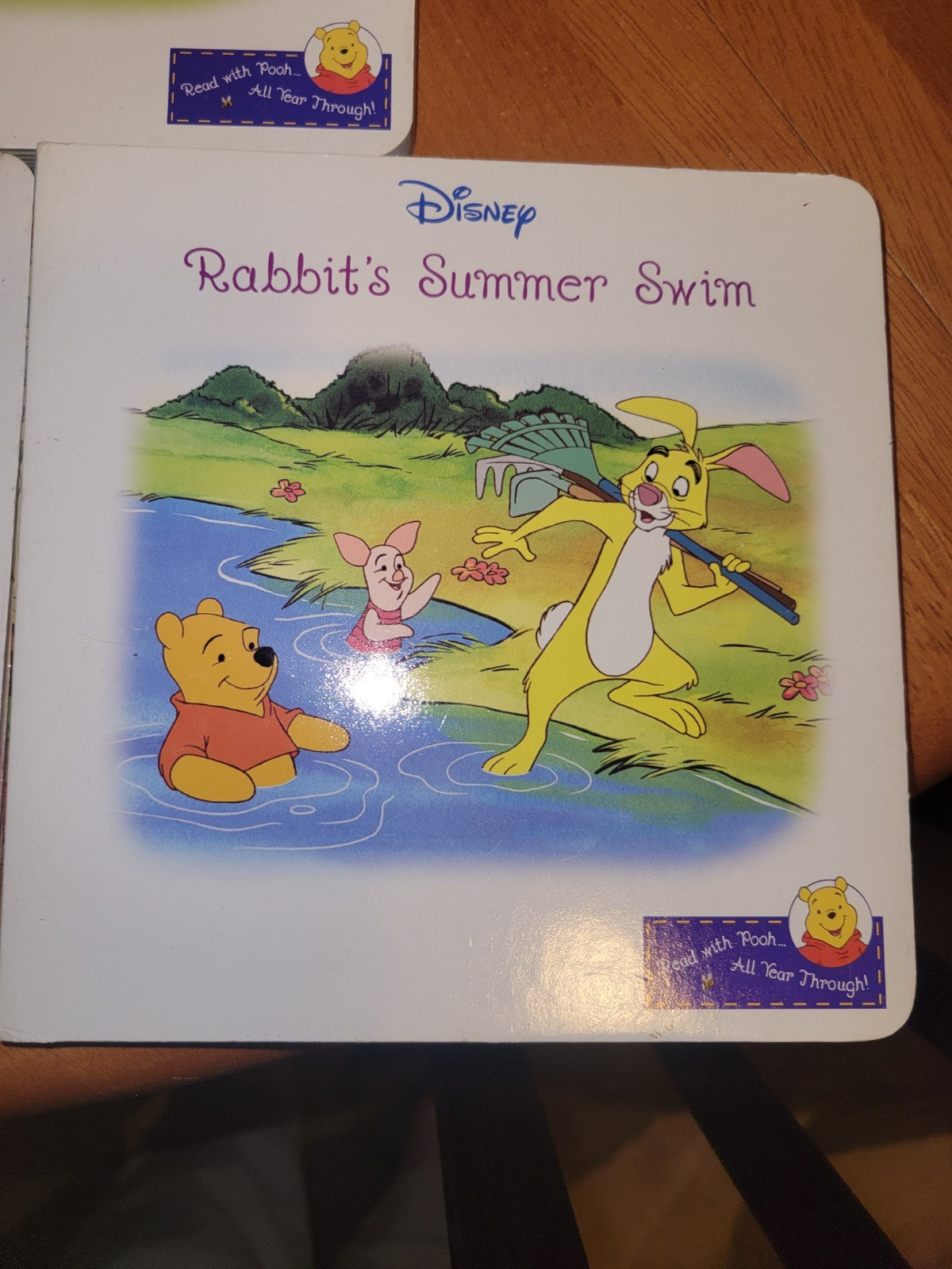 Disney Winnie the Pooh 