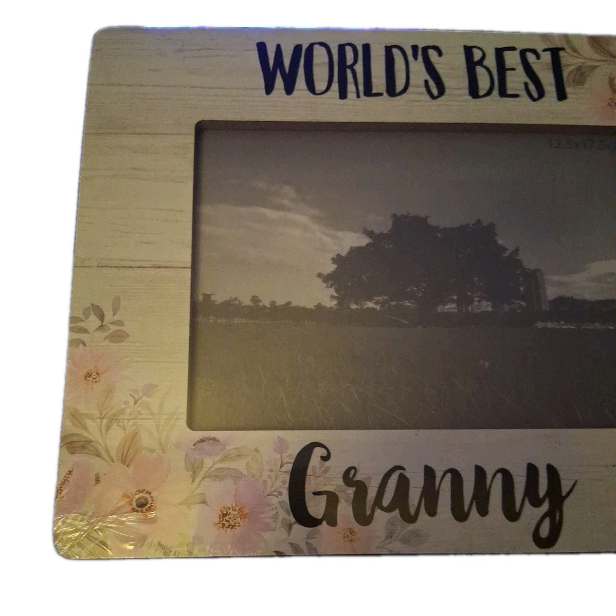 Worlds Best Granny Frame
