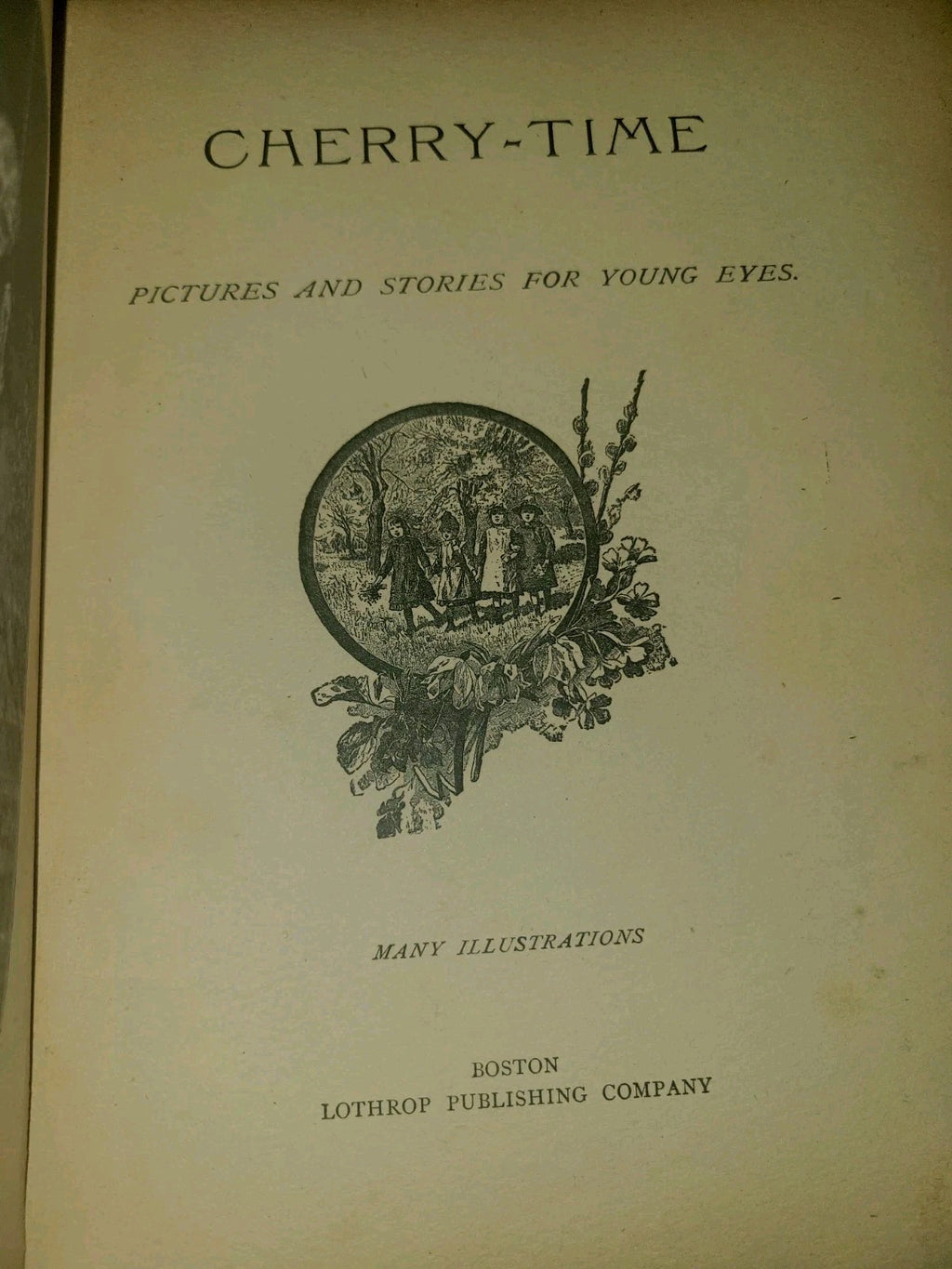 1896 Childrens Hardcover 