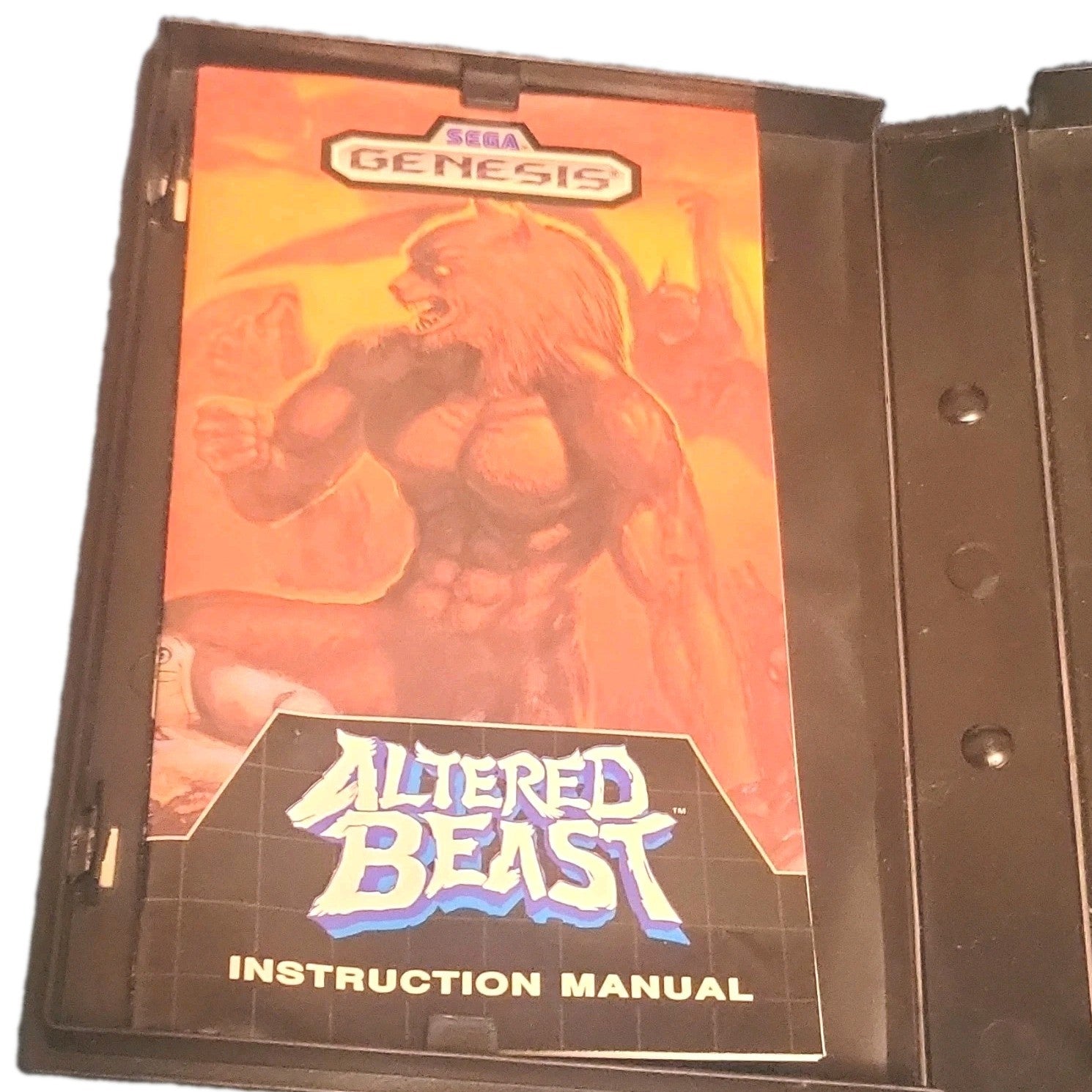 Sega Genesis Game