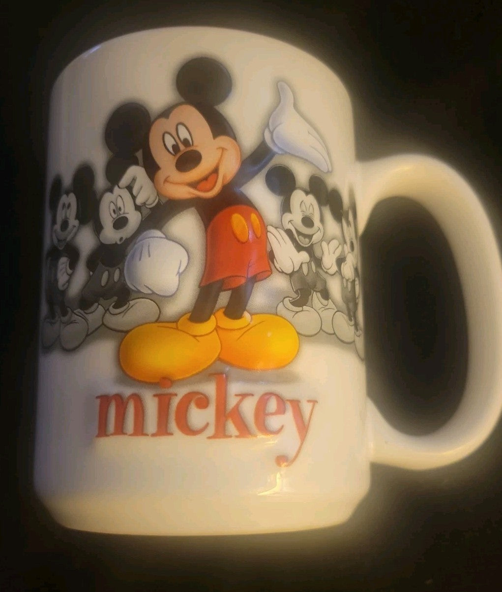 Mickey Mouse Walt Disney World 3D