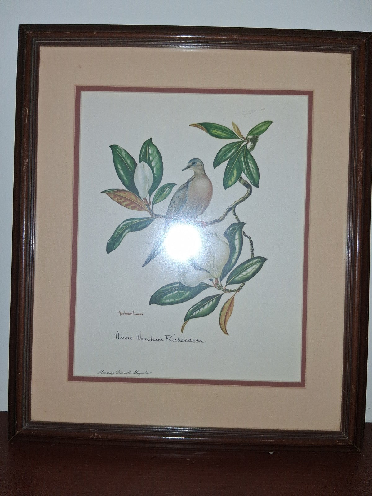 Anne Worsham Richardson Mourning Dove Magnolia Signed Art Print