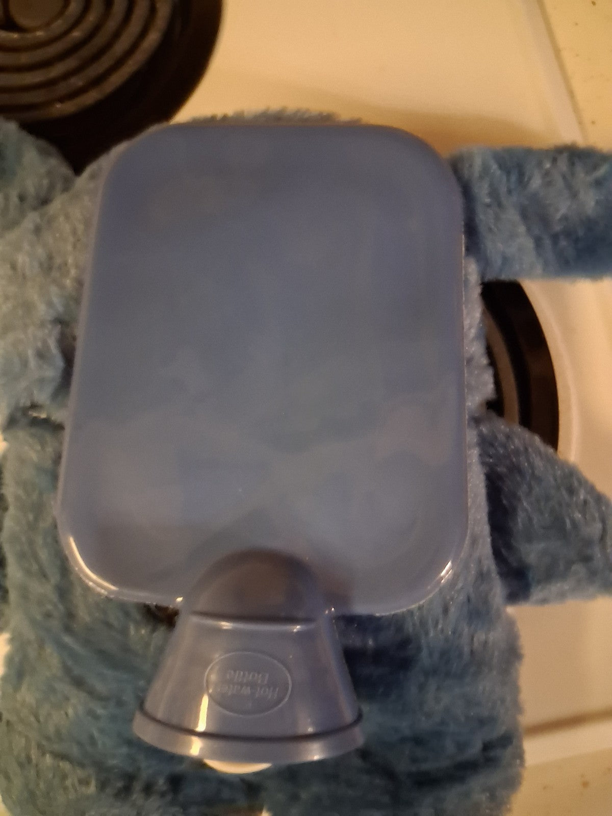 Blue Animal Hot Water Bottle & Faux Fur Cover Set, Plastic Bottle, Screw Lid
