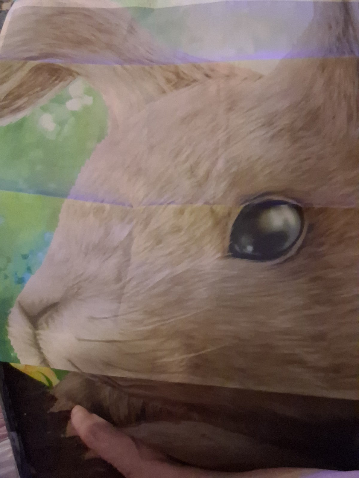 Bunny F lag