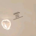 Set of 5 Mikasa  Dinner Plates