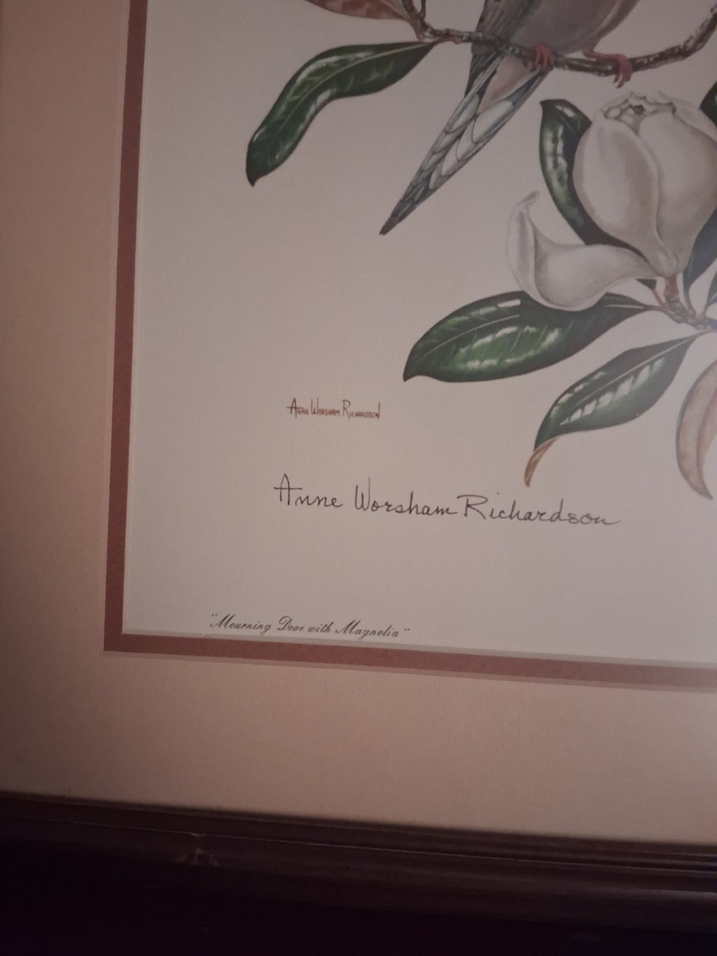 Anne Worsham Richardson Mourning Dove Magnolia Signed Art Print