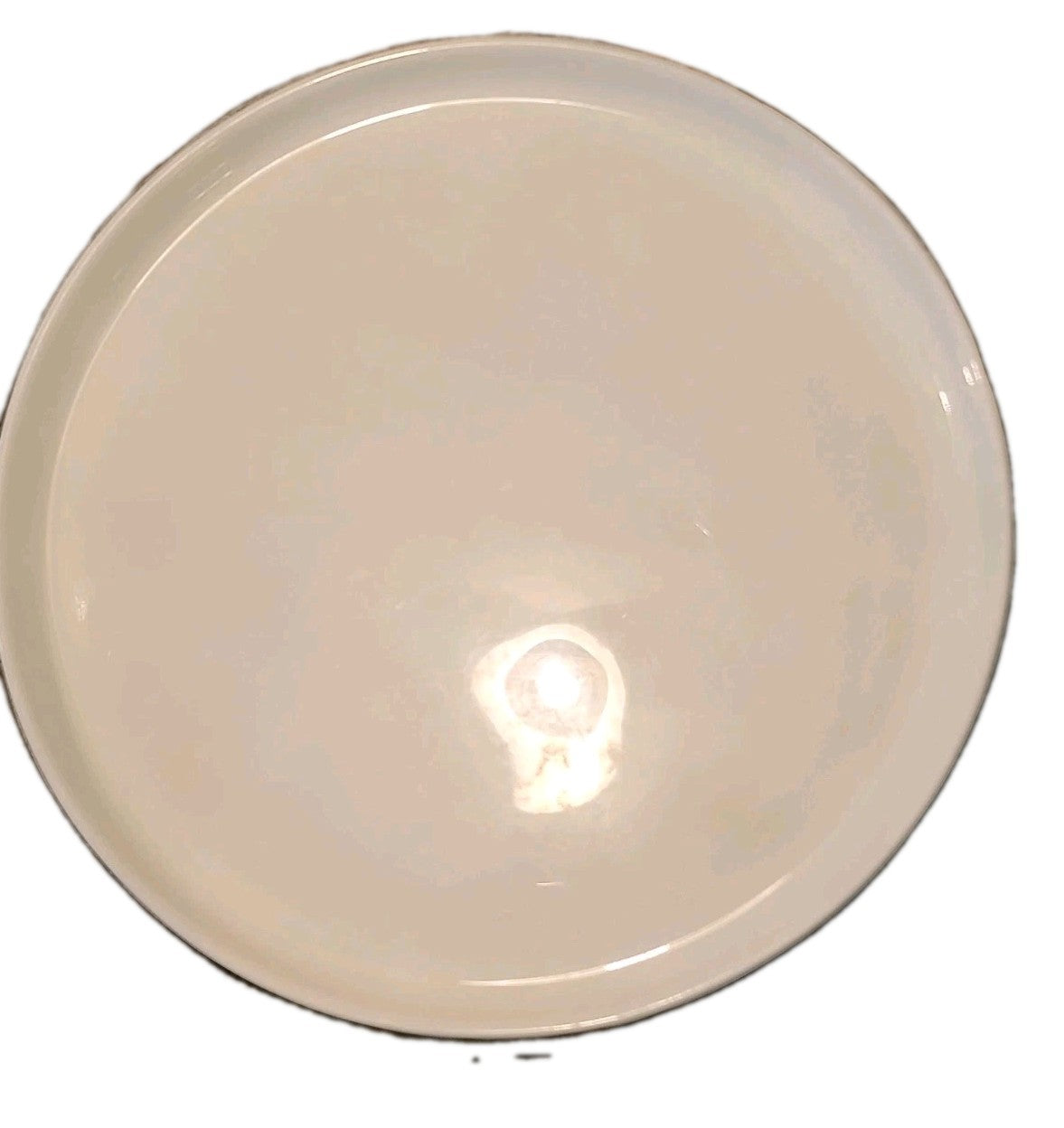 Set of 5 Mikasa  Dinner Plates
