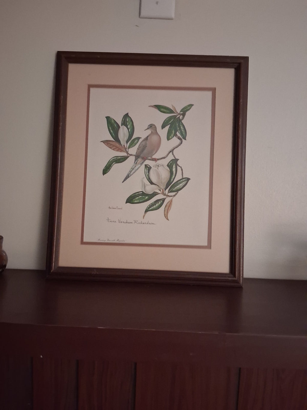 Anne Worsham Richardson Mourning Dove Magnolia Signed Art Print