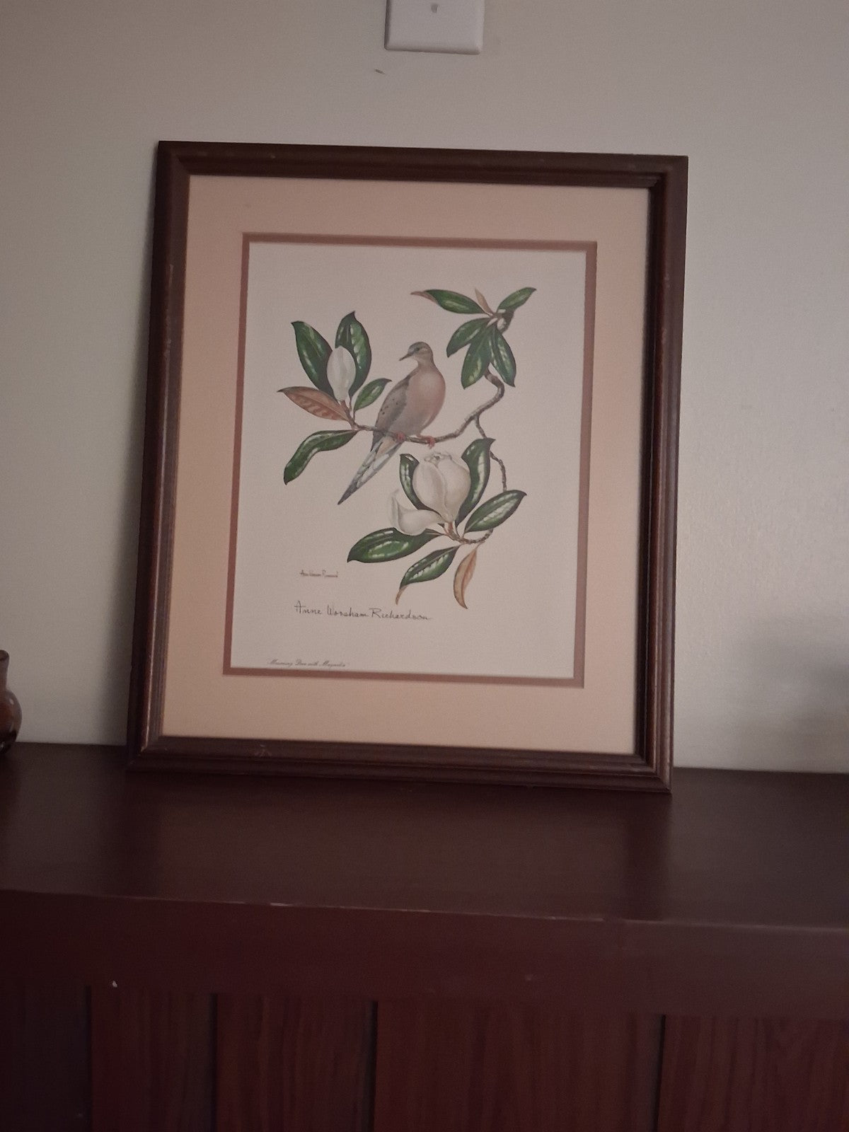 Anne Worsham Richardson Mourning Dove Magnolia Signed Art Print