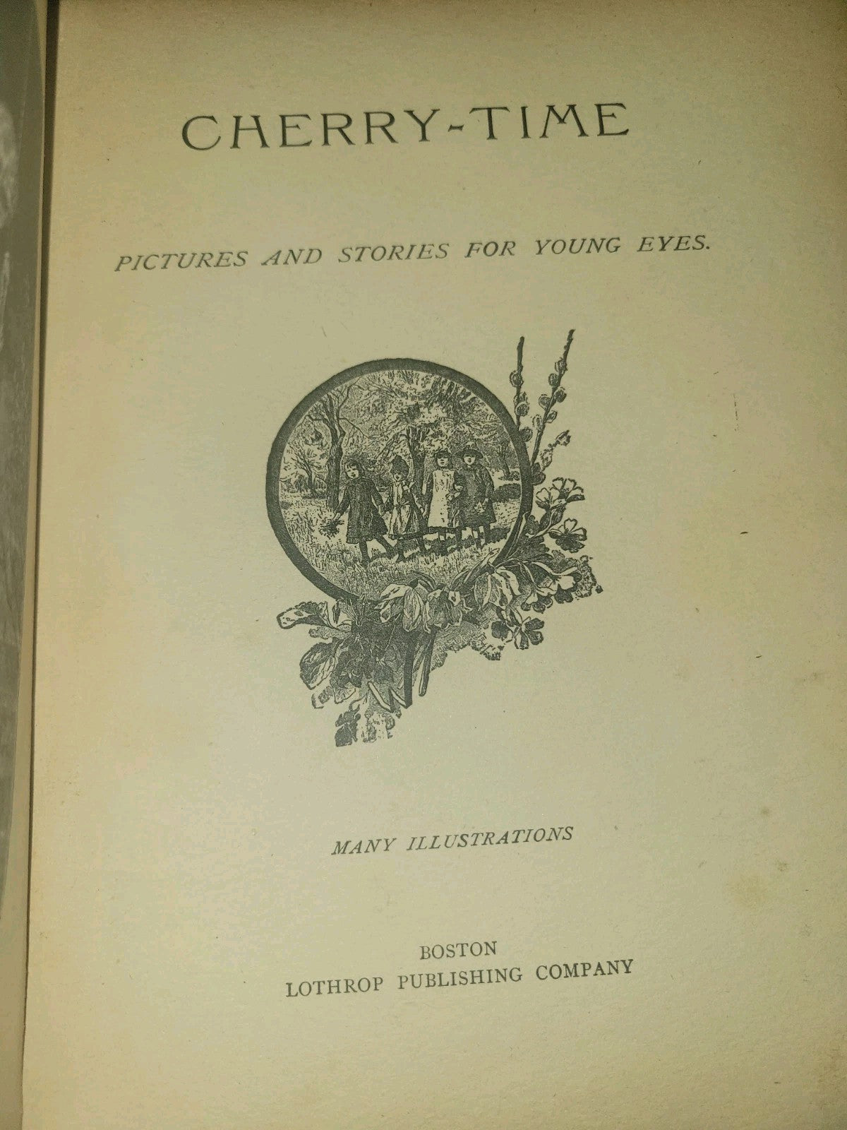 130 year old 1896 Hardcover Illustrated, 