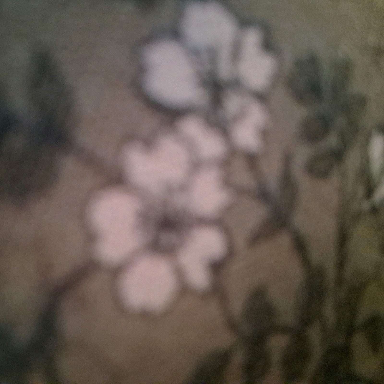 TWOPAGES Liz Linen Back Tab Blackout Floral Curtain Panel Ivy Brown 26x84 SL-J4