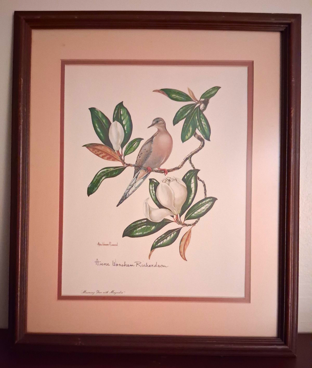 Anne Worsham Richardson Mourning Dove Magnolia Signed Art Print